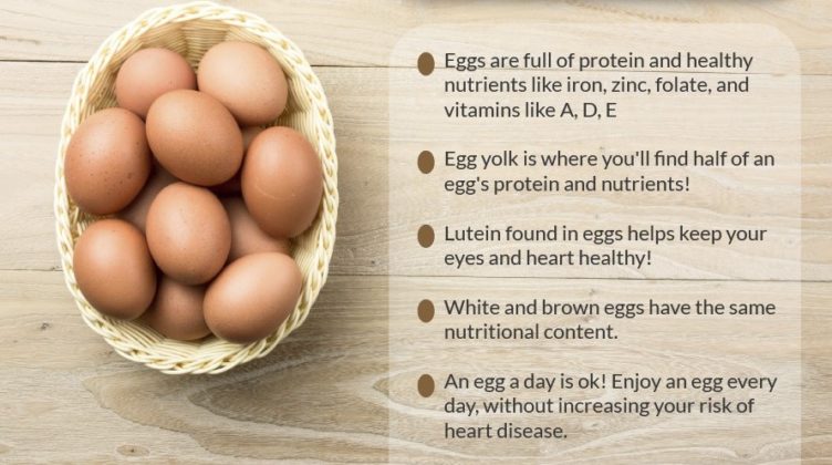 research health benefits of eggs