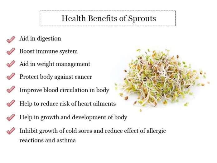 Know About Effective Benefits Of Sprouts My Health Only