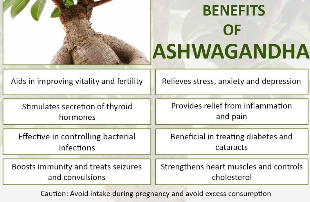 is ashwagandha good for ladies