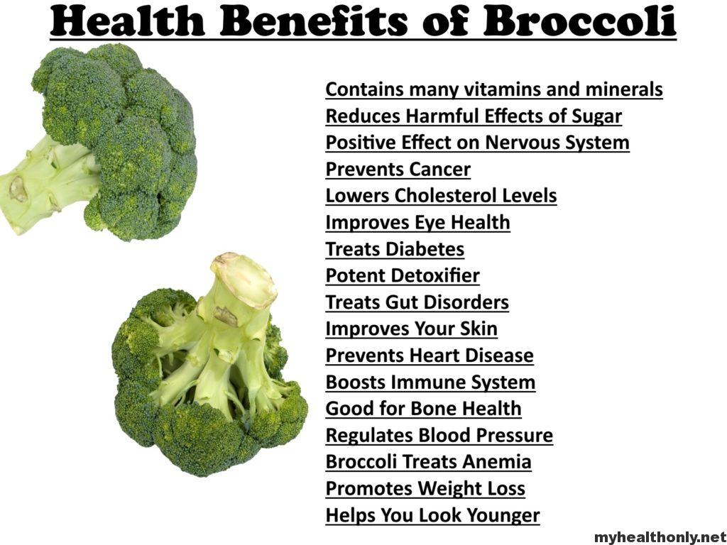 5 Effective health benefits of broccoli My Health Only