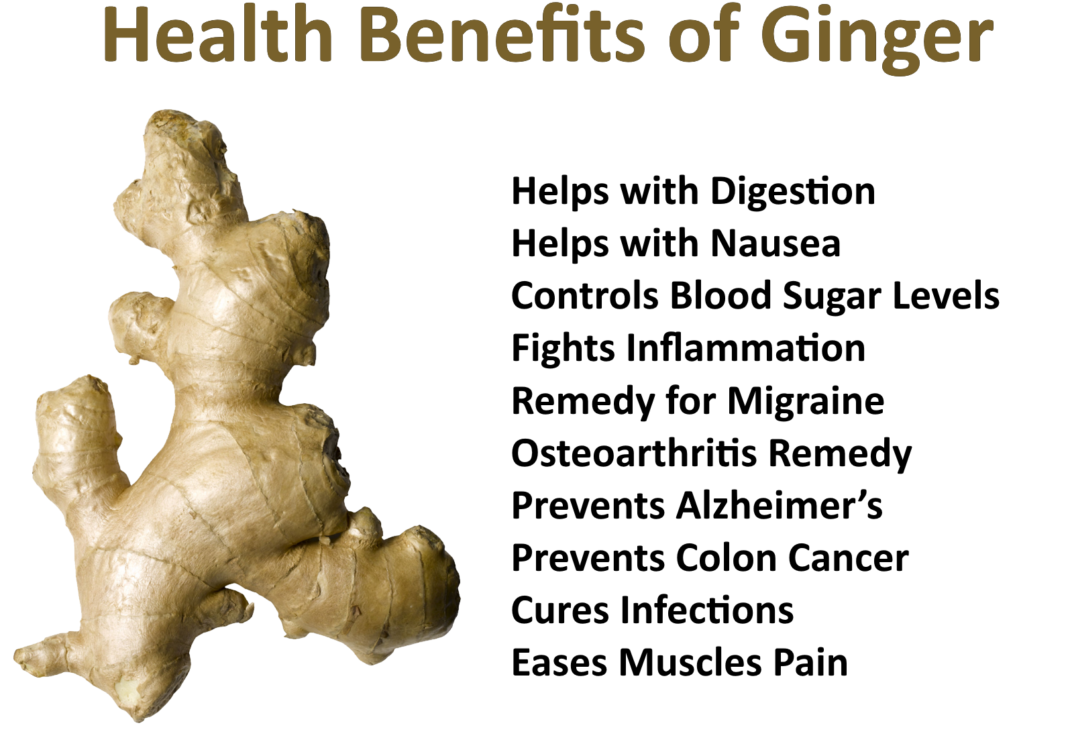 Effective Health Benefits Of Ginger My Health Only
