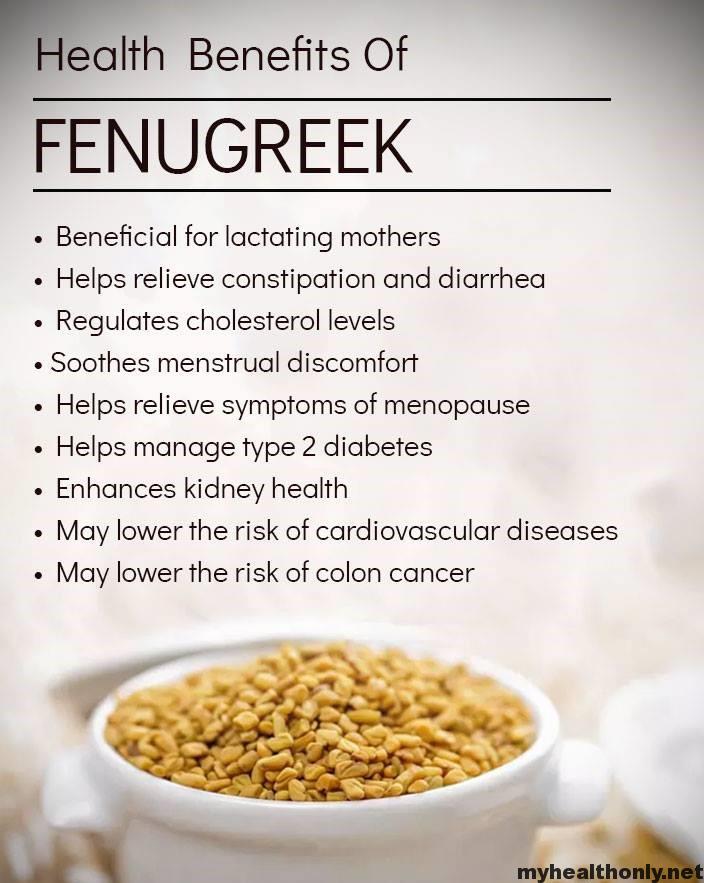 5 Impressive Health Benefits of Fenugreek My Health Only