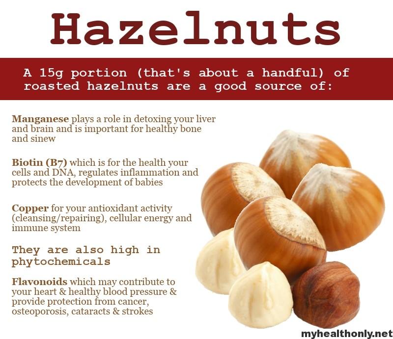 Impressive Health Benefits Of Hazelnuts My Health Only