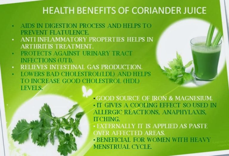 9 Wonderful Health Benefits of Coriander My Health Only