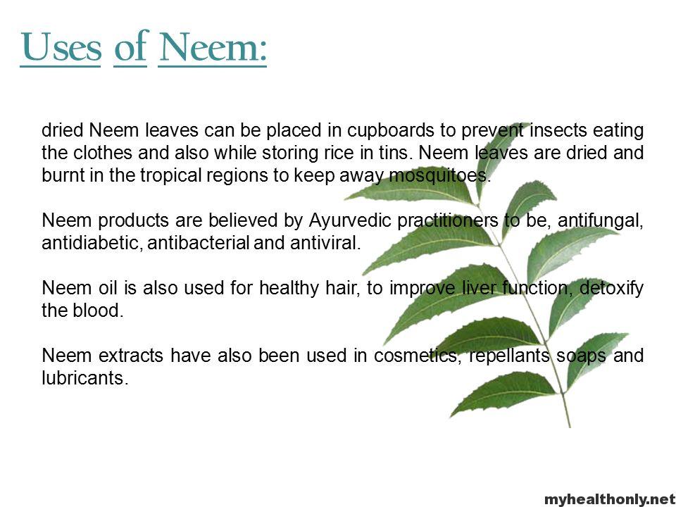 Impressive Health Benefits Of Neem Leaves My Health Only