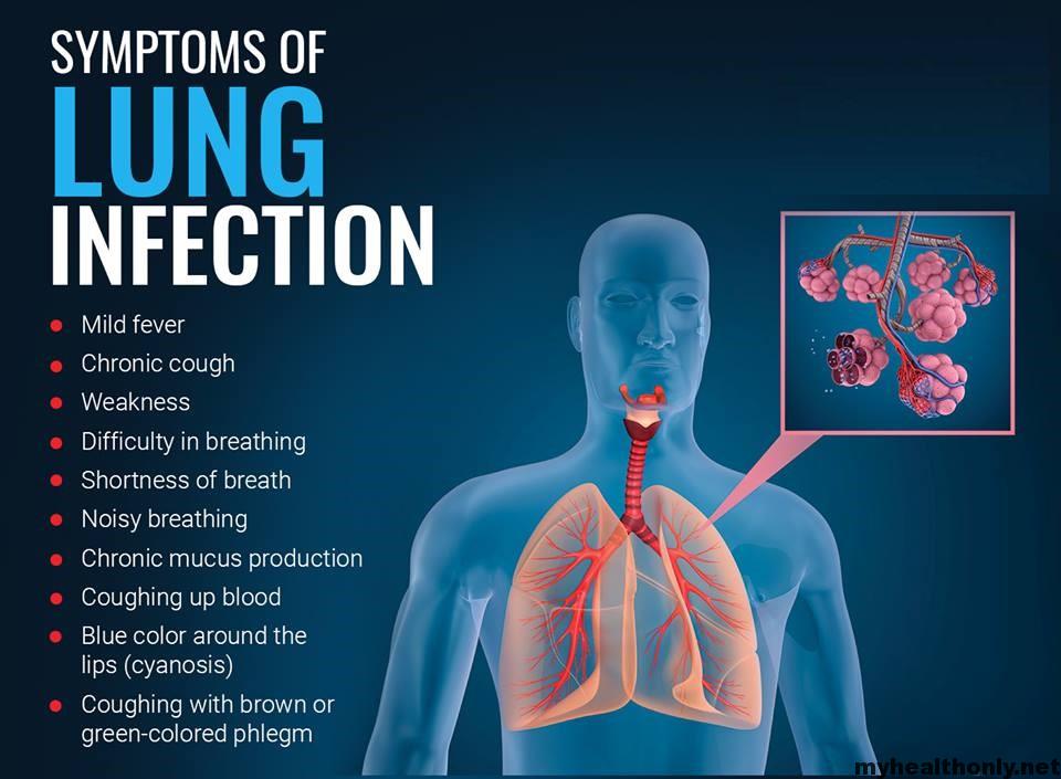 bacterial lung infection symptoms difference between bacteria and