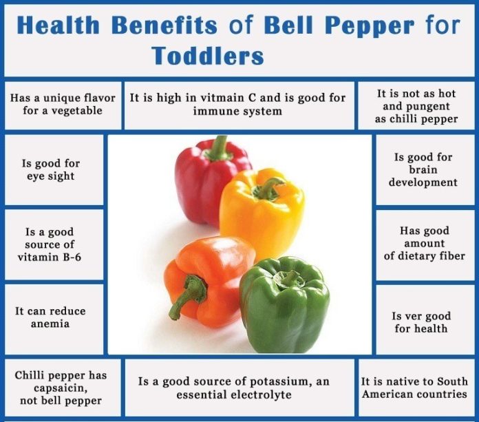 5 Impressive Health Benefits Of Bell Peppers My Health Only