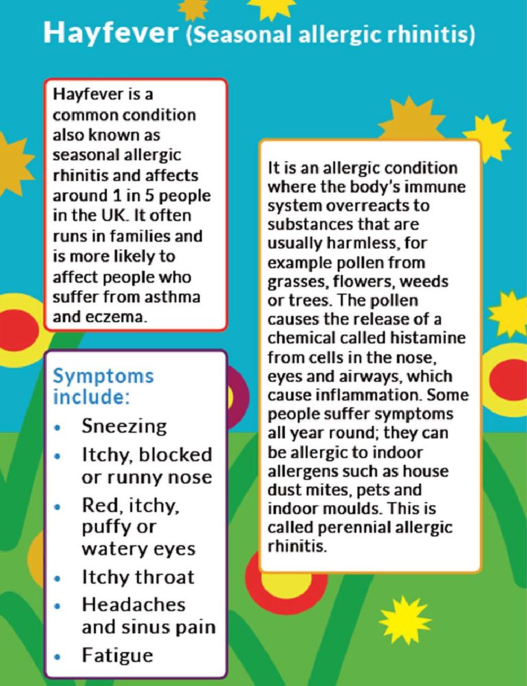 Hay Fever : Triggers Symptoms and causes My Health Only