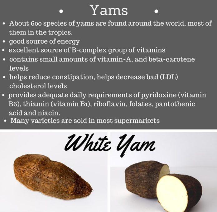 literature review of yam