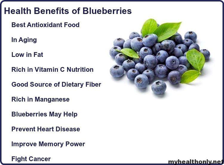 Know about some marvellous benefits of blueberries My Health Only