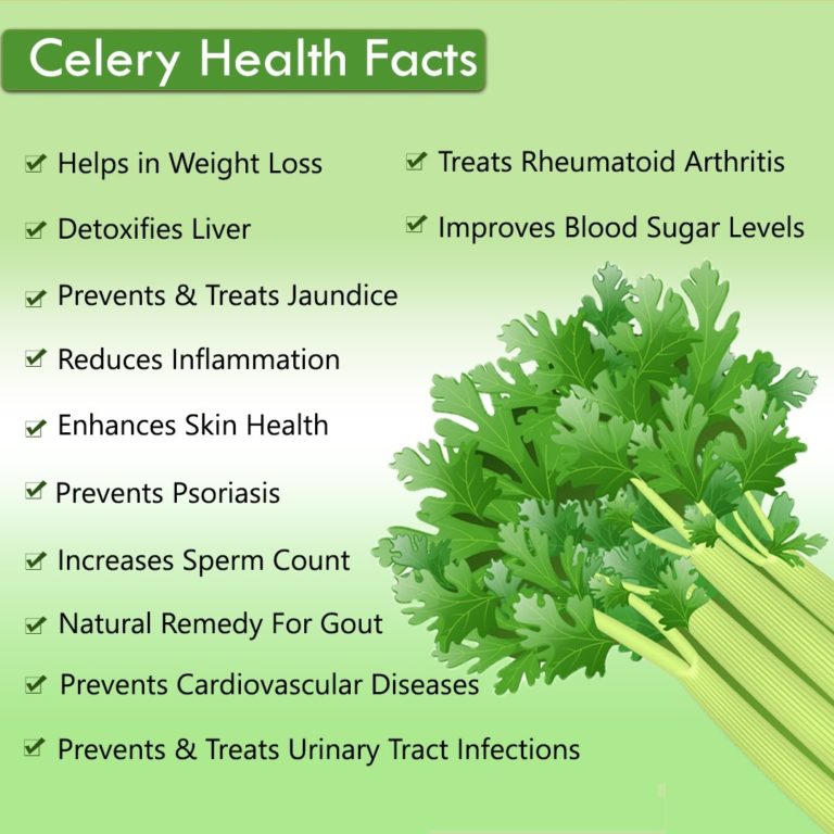 10 Stunning Health Benefits of Celery My Health Only