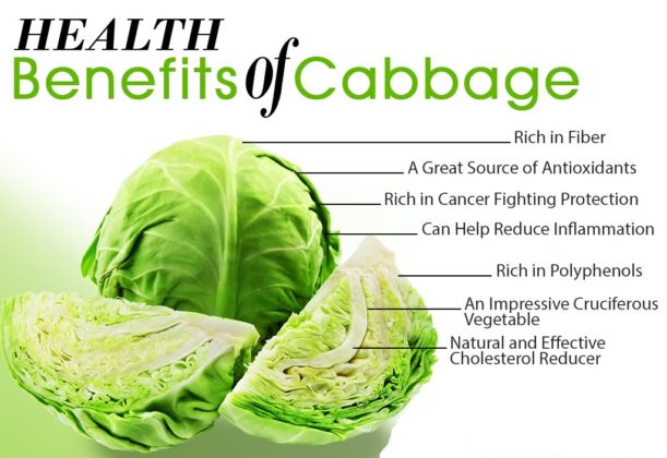 10-impressive-health-benefits-of-cabbage-my-health-only