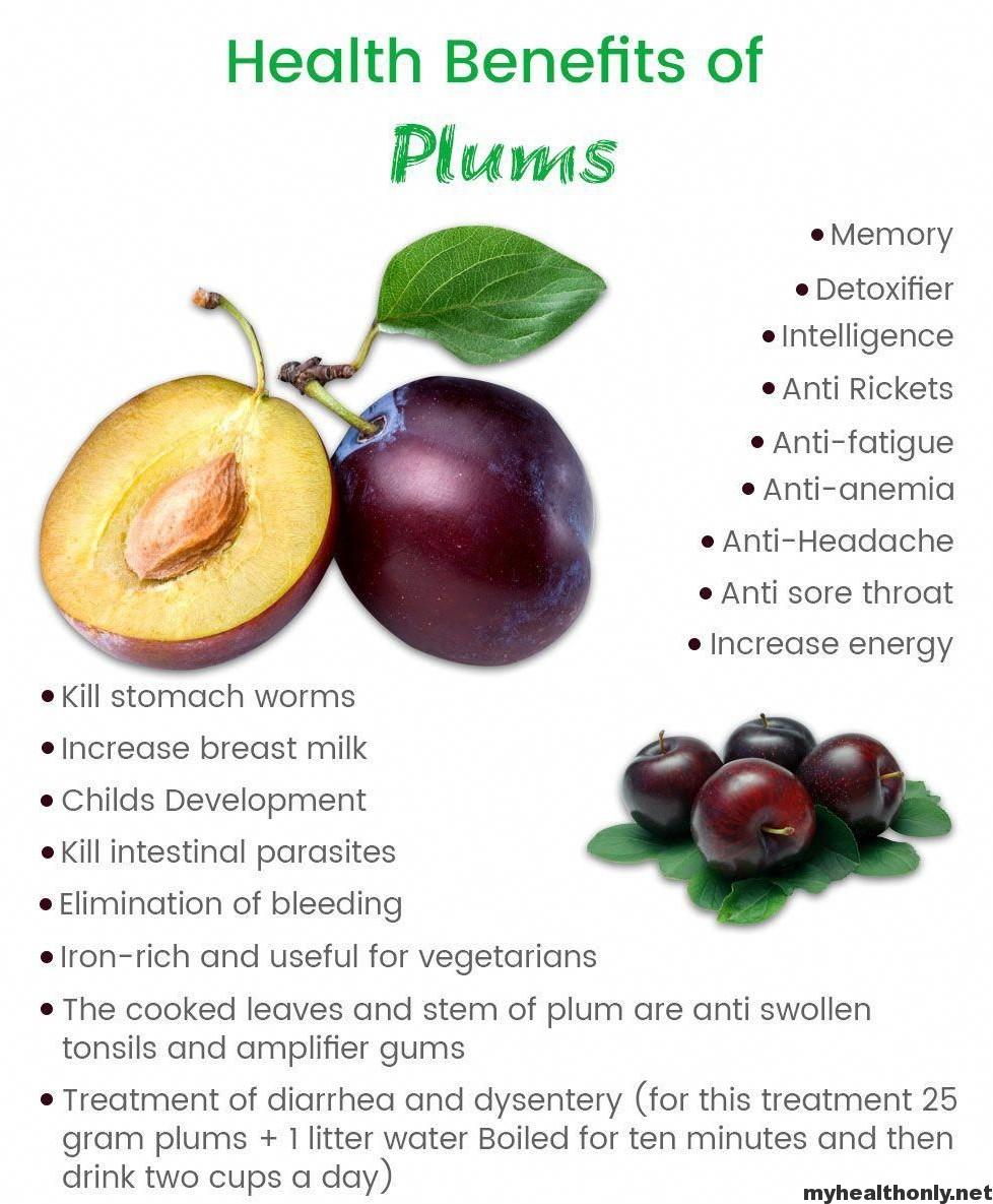 7 Unique Benefits of Plums, You must to know My Health Only