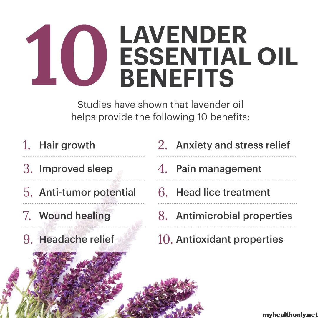 9 Marvelous Benefits Of Lavender Oil You Must To Know My Health Only