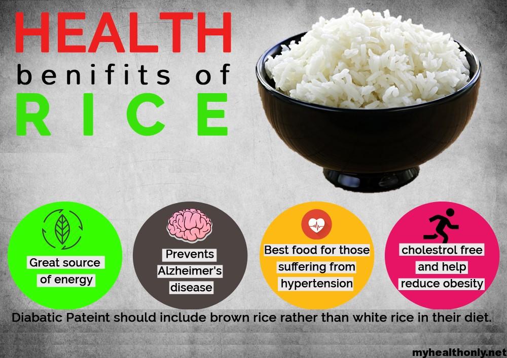 why rice is important in our life essay