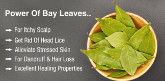Benefits of bay leaves