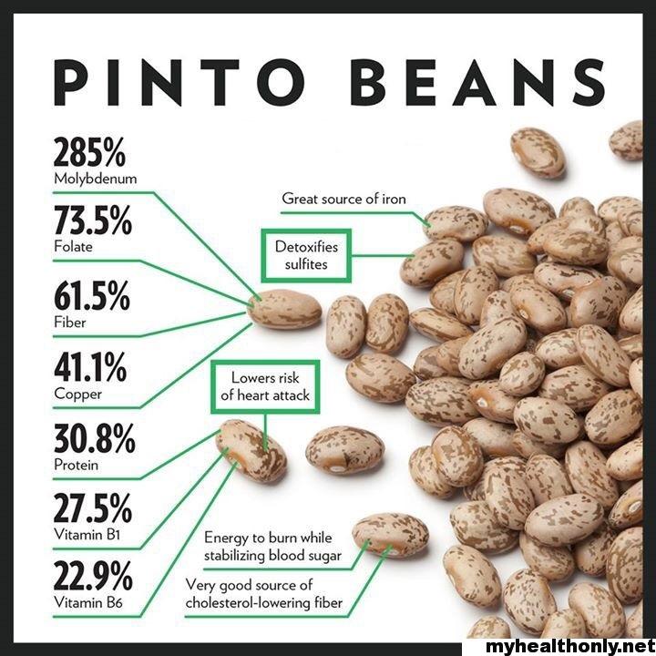 15 Unique Benefits Of Pinto Beans You Must To Know My Health Only