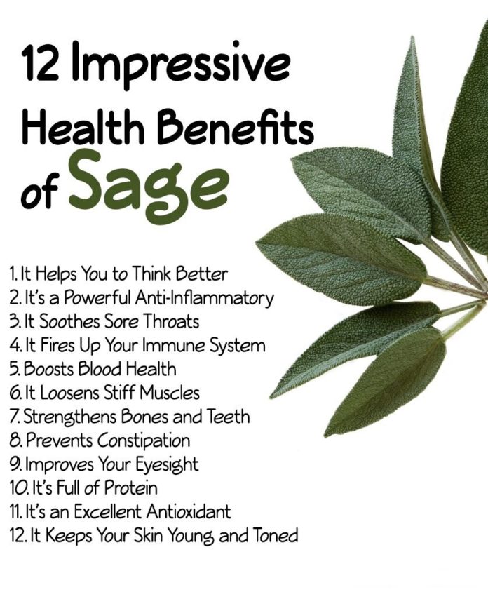 8 Tremendous Benefits of Sage, You must to know My Health Only