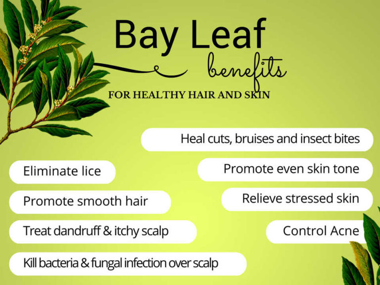 Bay Leaves Benefits For Healthy Hair And Skin 768x576 ?v=1575585624