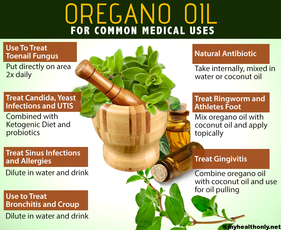 7 Tremendous Benefits of Oregano Oil, You must to know - My Health Only
