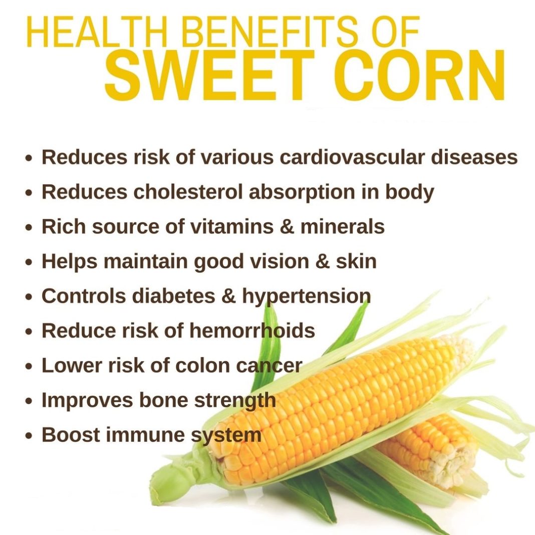 15 Tremendous Health Benefits Of Corn You Must Know My Health Only