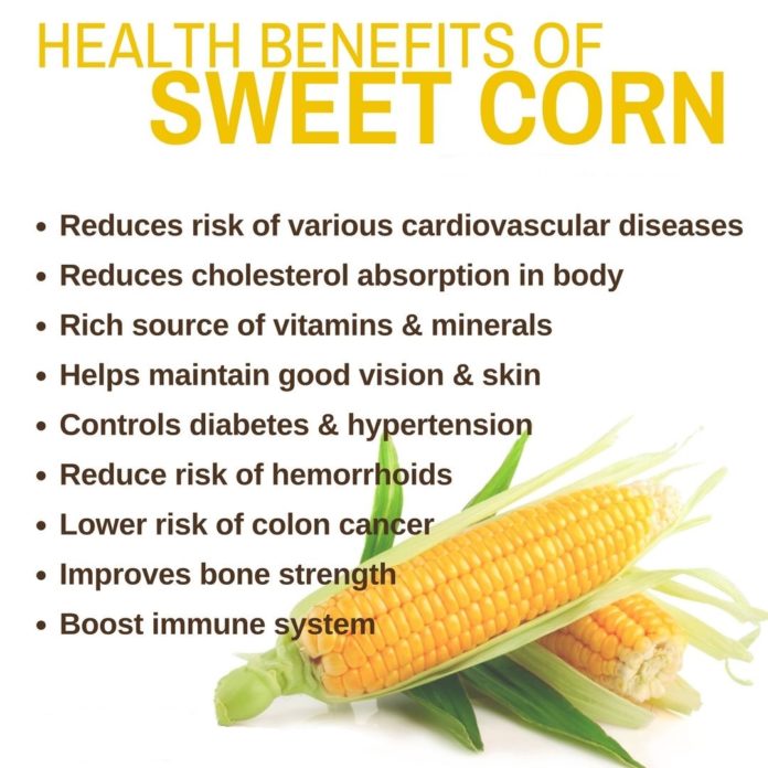 15 Tremendous Health Benefits of Corn, You Must Know My Health Only