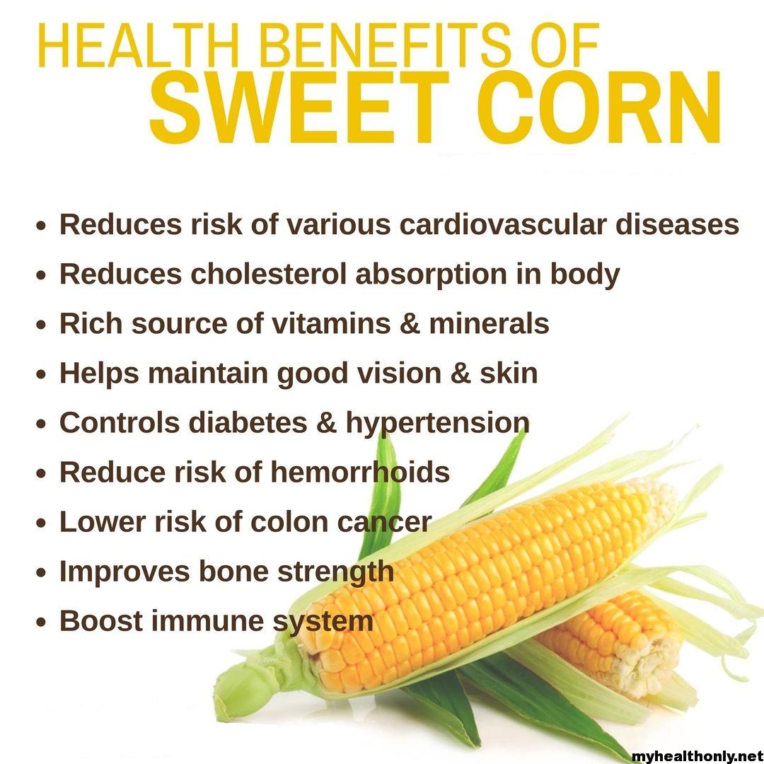15 Tremendous Health Benefits Of Corn You Must Know My Health Only 3229