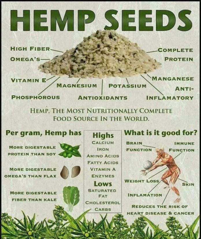 11 Tremendous Benefits of Hemp, You must to know My Health Only