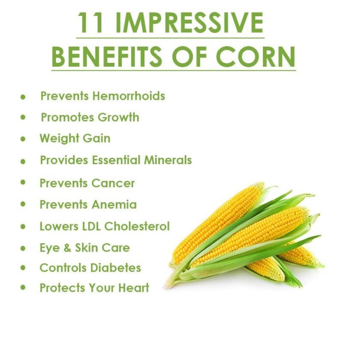 Corn Health Benefits