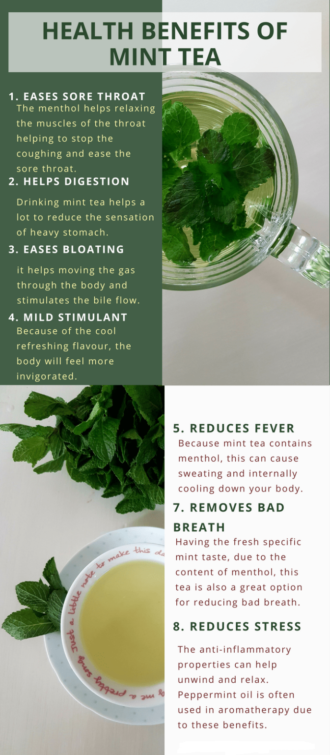 16 Special Benefits of Peppermint Tea, You must to know My Health Only