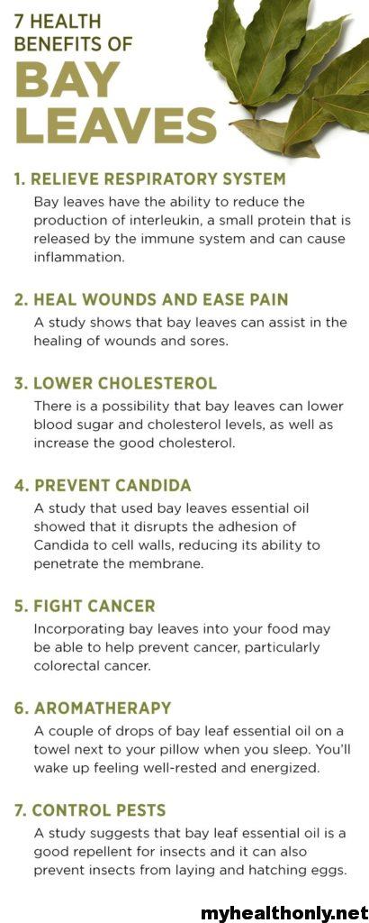 Health Benefits of Bay Leaves