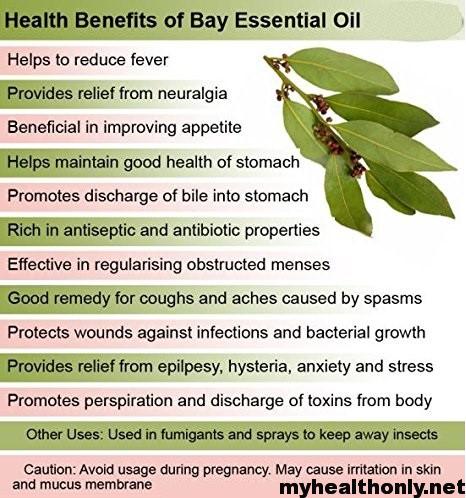 Health benefits of bay leaves