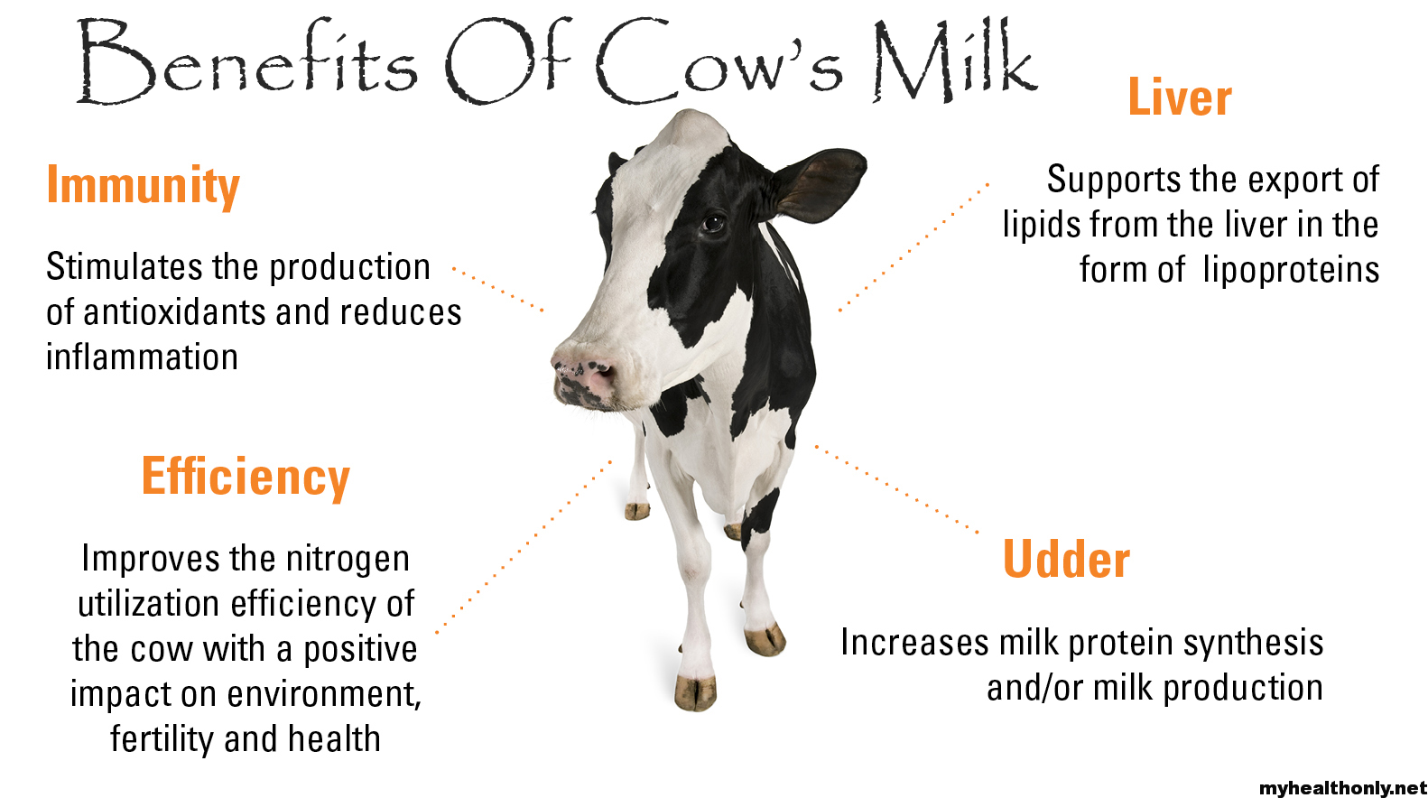 12 Wonderful Benefits Of Cow Milk You Must To Know My Health Only 
