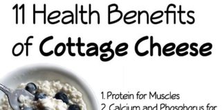Benefits of cottage cheese