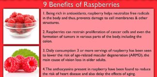 Benefits of Raspberries