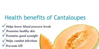 Benefits of cantaloupe