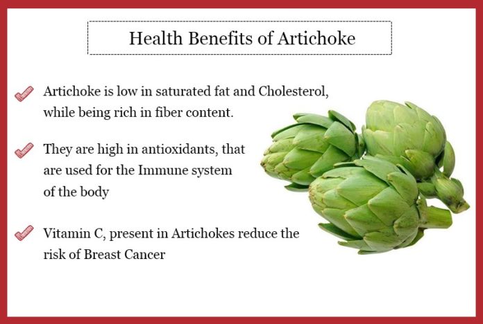 Benefits of Artichokes