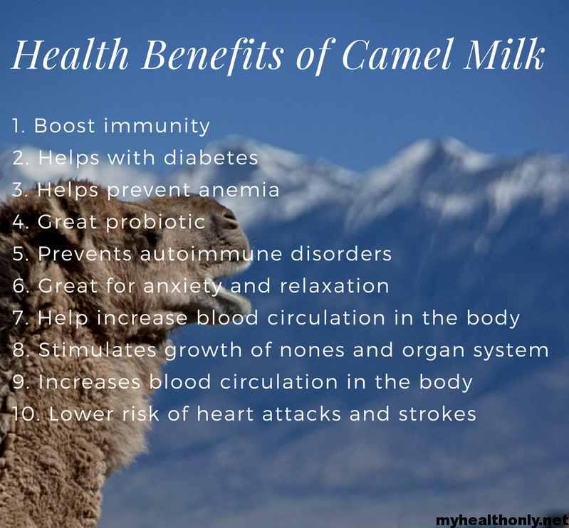 Health Benefits of Camel Milk