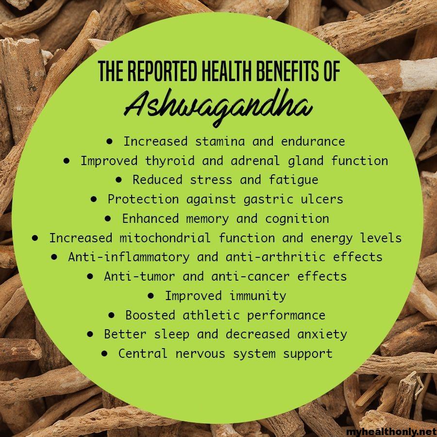 Benefits of Ashwagandha Root