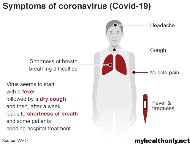 What is coronavirus? - Symptoms, Treatment and Remedies
