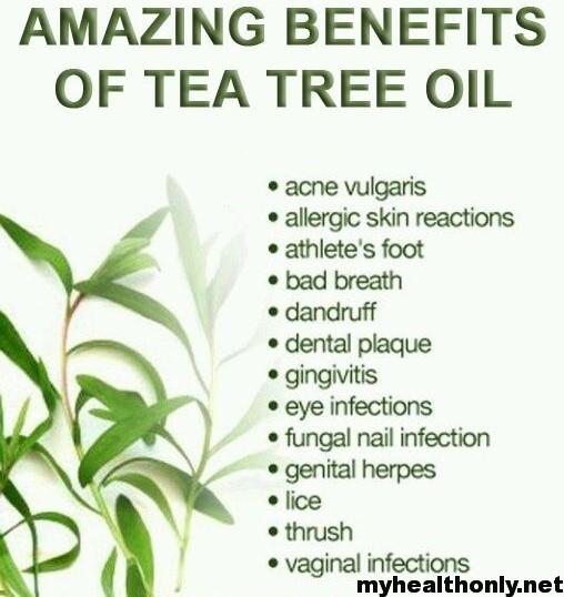 Health Benefits of Tea Tree Oil