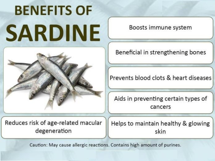 Benefits of Sardines Fish