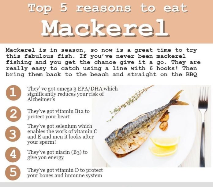 Benefits of Mackerel Fish