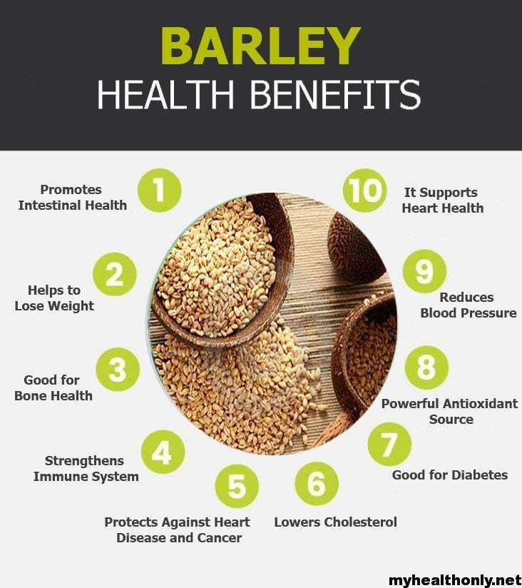 18 Tremendous Health Benefits Of Barley You Must Know My Health Only