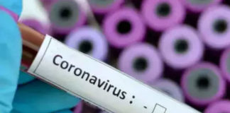 Died Due to Coronavirus