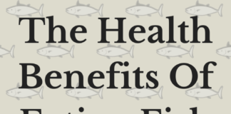 Benefits of Trout Fish