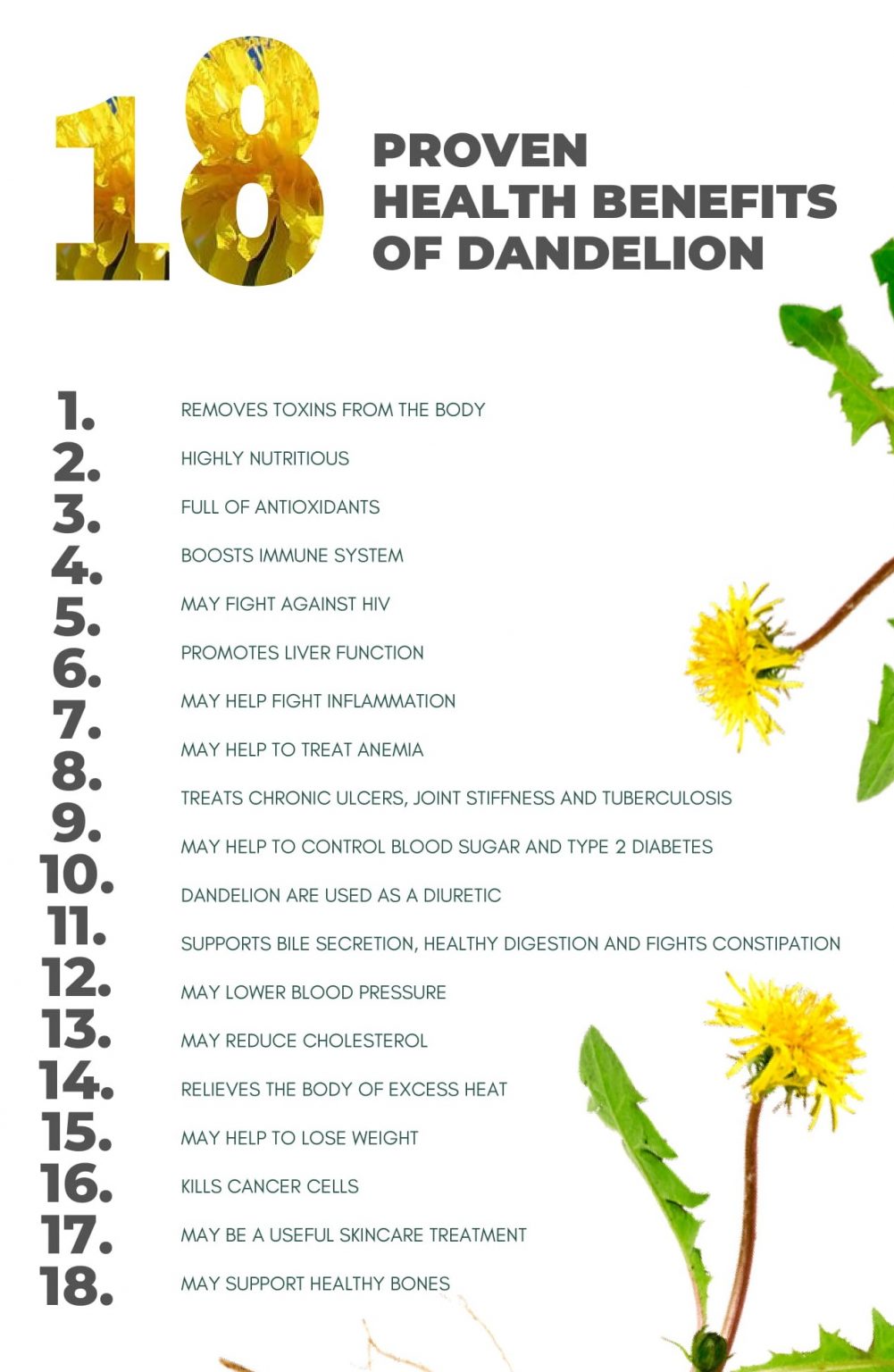 do dandelion blooms have good medicinal value