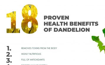 Benefits of Dandelion Root