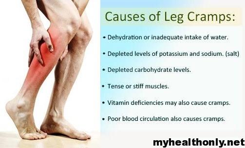 what can cause muscle pain in legs