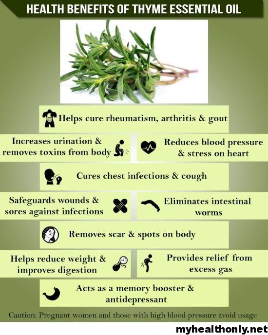Health Benefits of Thyme Oil - Thyme oil provides relief from many health problems